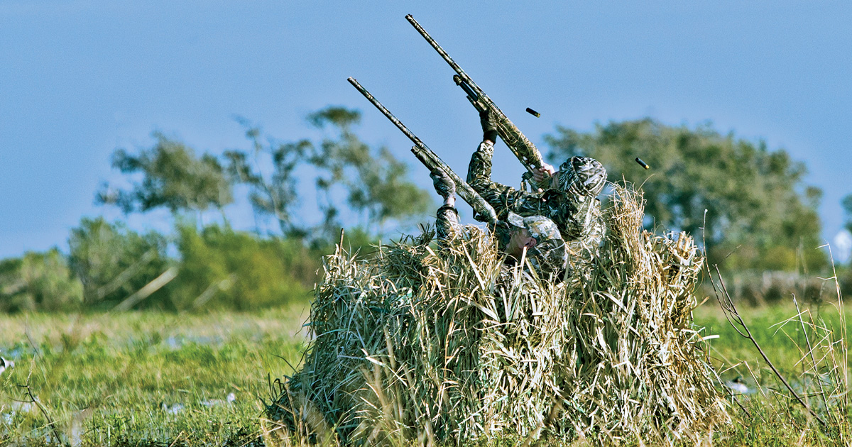 Hunters in a duck blind shooting shotguns. Photo by ToodJSteele_Shotgunning.jpg